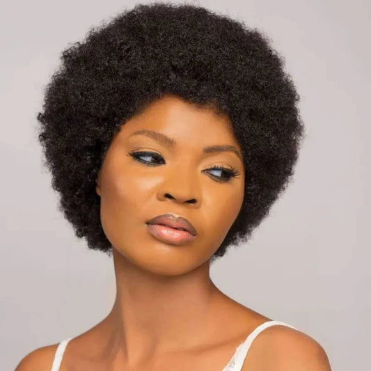 fro Kinky Curly Wave Wig 150% Density - Nitoo Store