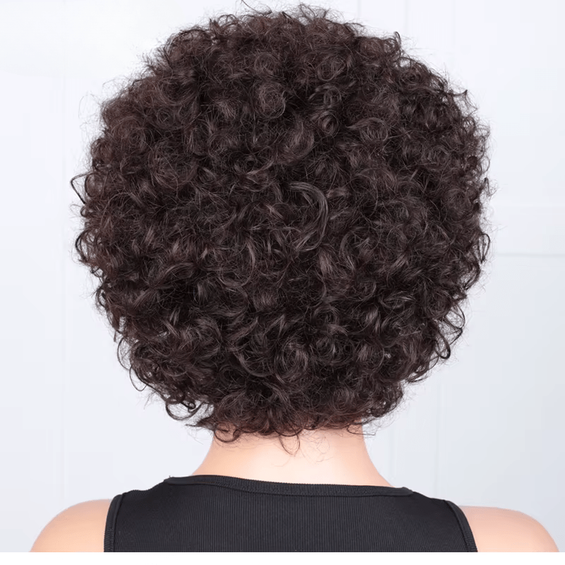 Short Pixie Afro Kinky Curly Wig - Nitoo Store