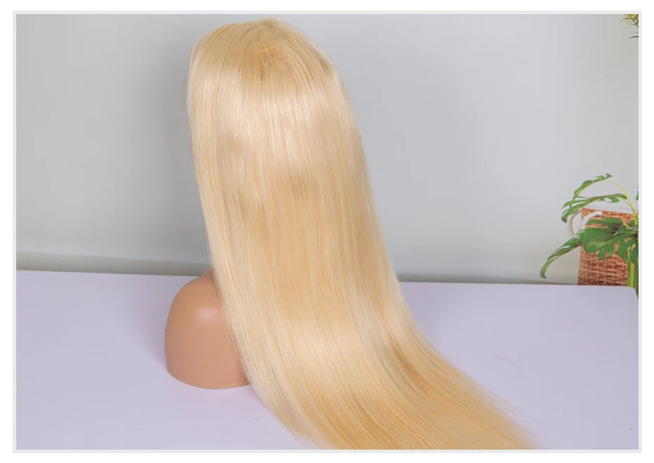 Blonde Color Lace Front Human Hair Wigs for Women Nitoostore