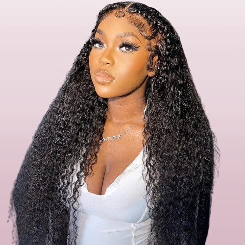 300% Density Loose Deep Wave Human Hair Wig Nitoo Store