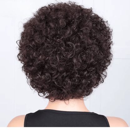 Short Pixie Afro Kinky Curly Wig - Nitoo Store